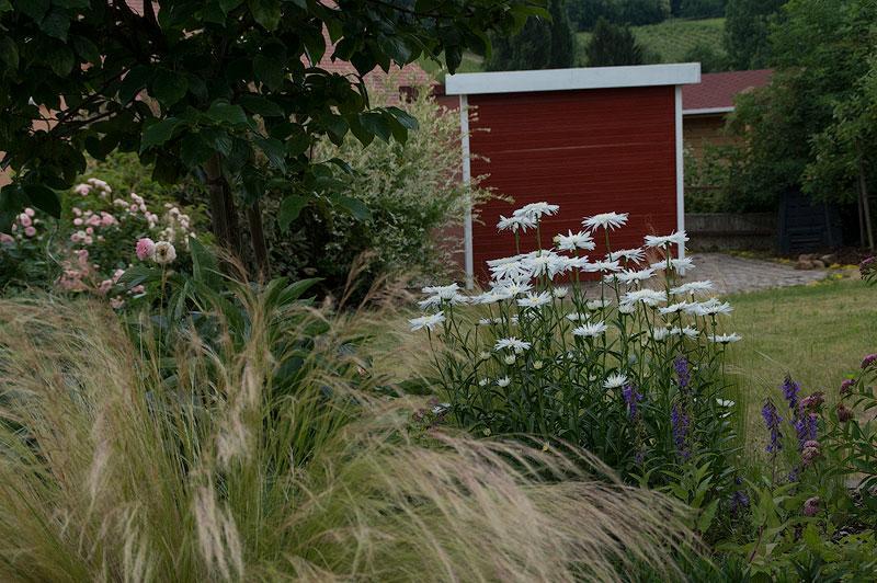 Ferienwohnung Viabella Pleisweiler-Oberhofen Buitenkant foto